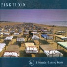 A Momentary Lapse of Reason